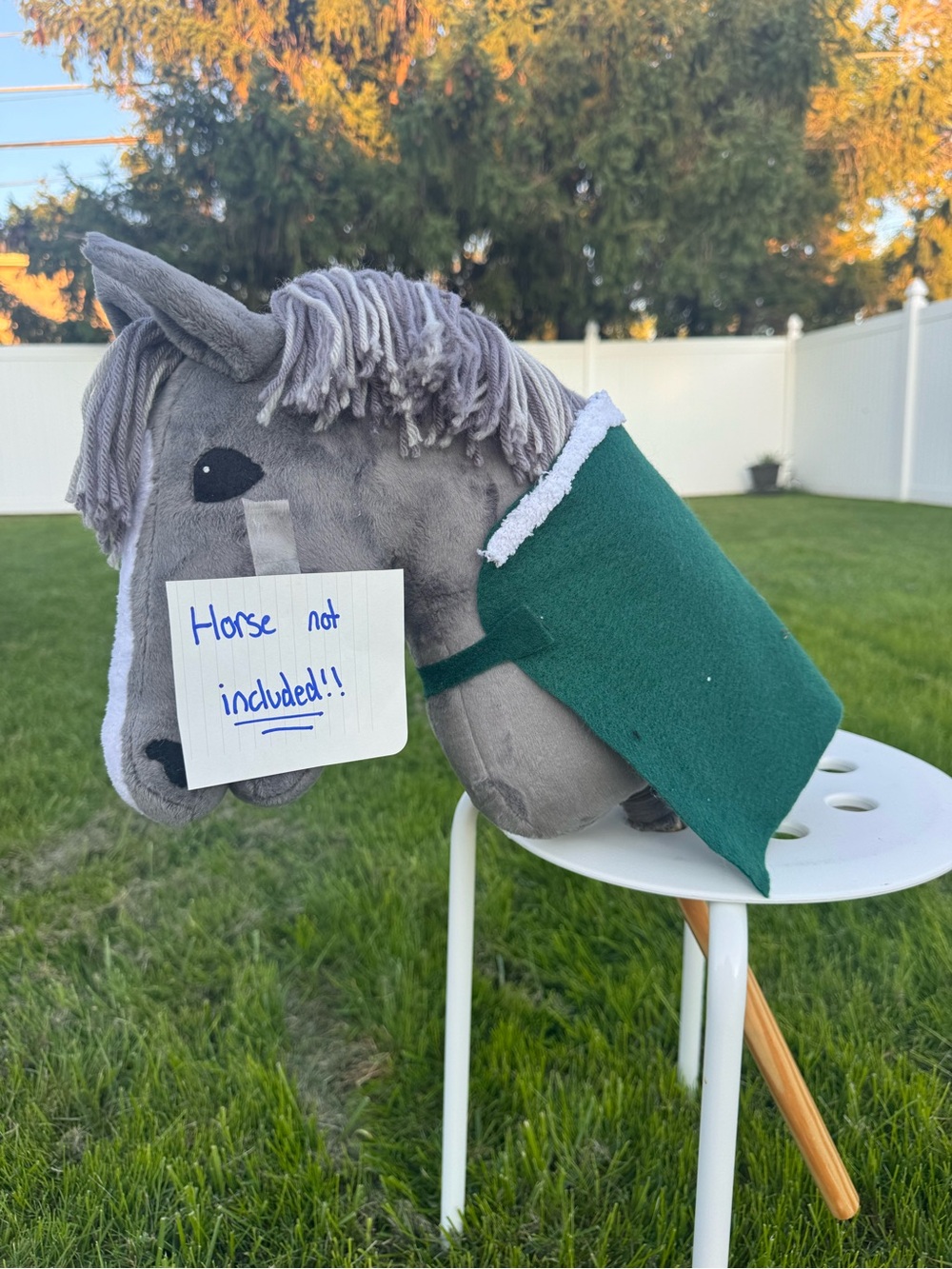 Hobby horse blanket